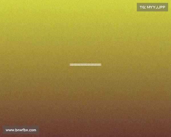 足球俱乐部转会资金投入规划与管理策略研究方案